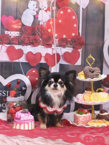 20250226アリューくん